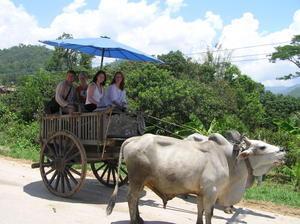Getting a ride by ox-cart back to the village