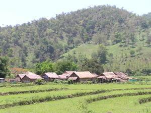 Traditional Thai houses in paddi fields where we did elephant trekking