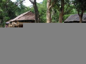 Staying with another Karen Hill tribe in Umphang National Park