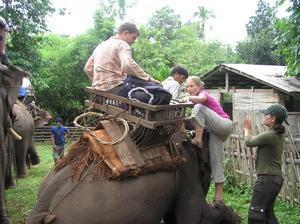 All aboard the elephant for a 4hr trek through jungle back to civilisation