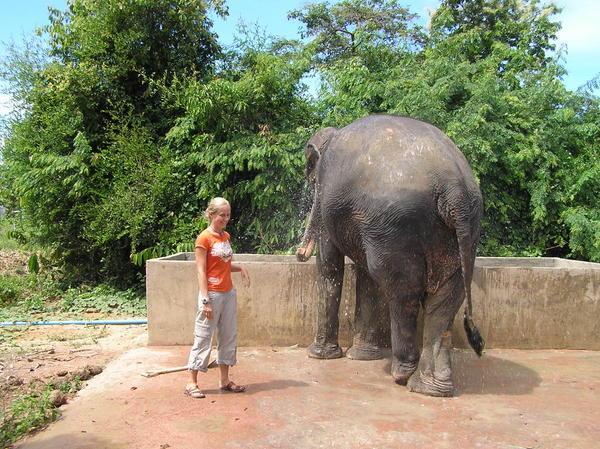 Bronia with Dacoon at the water tank getting sprayed with water from her trunk