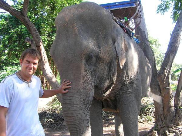 Dave and his elephant - Poon Ma