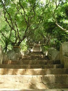 Up some shady steps to a temple overlooking Luang Prabang