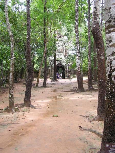 The front of Ta Som through the forest