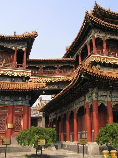 Some of the intricate buildings at the Lama Temple