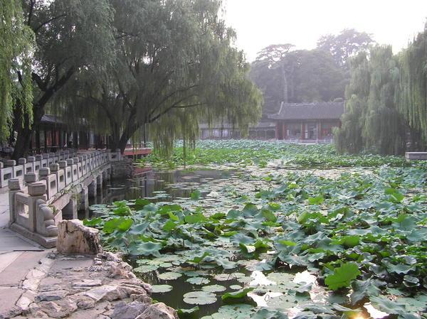 The Imperial Water Gardens at the Summer Palace