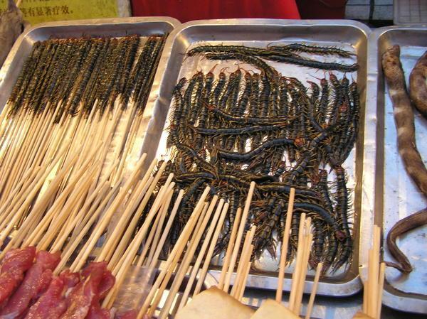 Still hungry? - how about centipedes or eels?