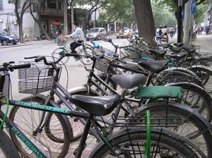 Bicycles in Beijing 