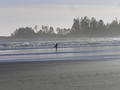 One of the many surfers at Long Beach
