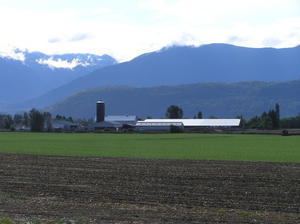 Driving with Marta & Colin through the farms of the Fraser Valley on our way to the Okanagan & Naramata