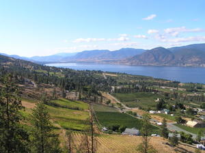 We hike along an old disused railway track & look out at the fruit growing hills, vineyards & the lake of Okanagan