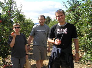 Colin, Marta & Dave picking Gala apples off Colin