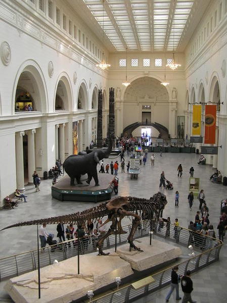 Inside the Field Museum of Natural History - "Sue" the T-Rex in foreground