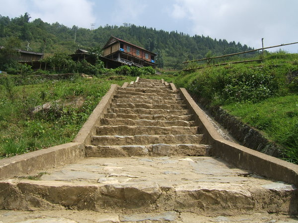 cat cat village steps
