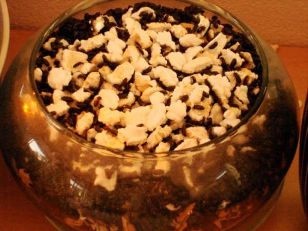 Bugs in a bowl eating popcorn