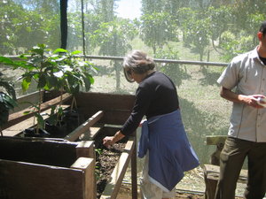 Mom planting coffee beans