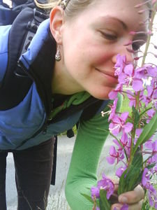 Smelling the Fireweed