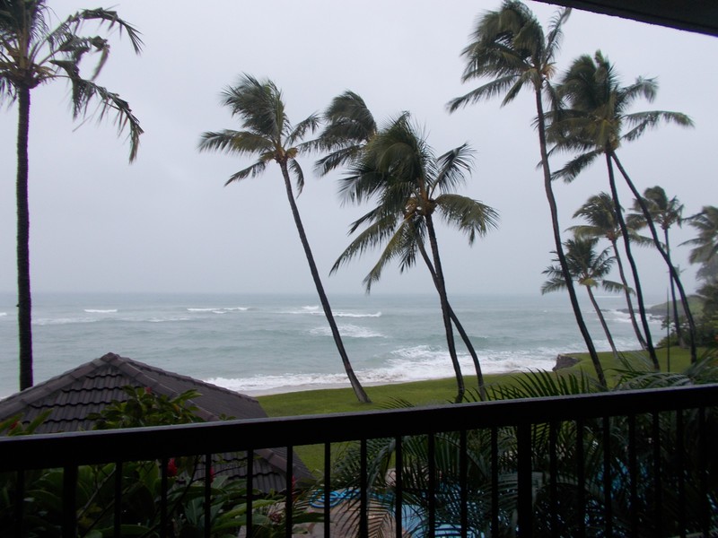 Windy Maui!
