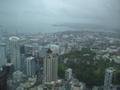 sky tower view