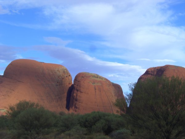 Some of the Olgas