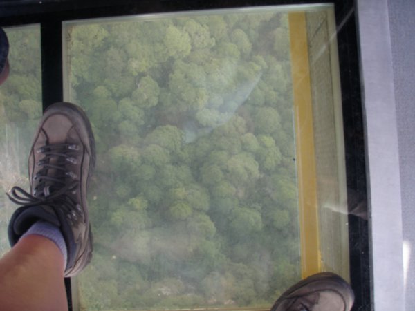 Looking Down Through The Glass Floor on the Skyway