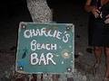 Charlies Beach Bar