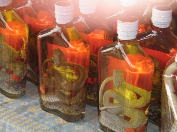 Laos Snake Whiskey