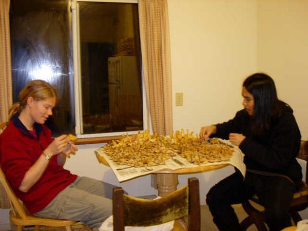 Mushroom Sorting and Cleaning