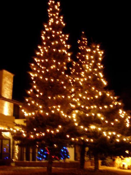 Christmas Lights in Jasper