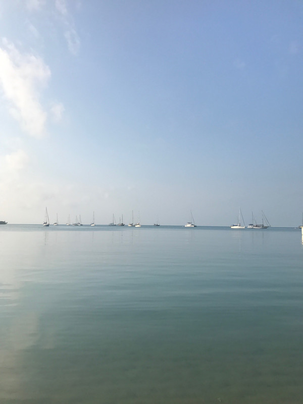boats on a calm bay