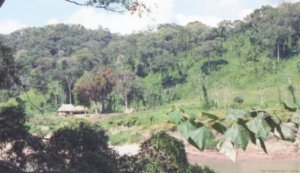 Rio Usumacinta, Frontera Mexico y Guatemala, Chiapas '06
