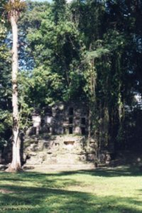 Yaxchilan, Chiapas '06