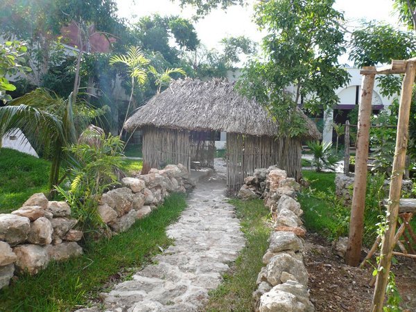 Replica Maya Home