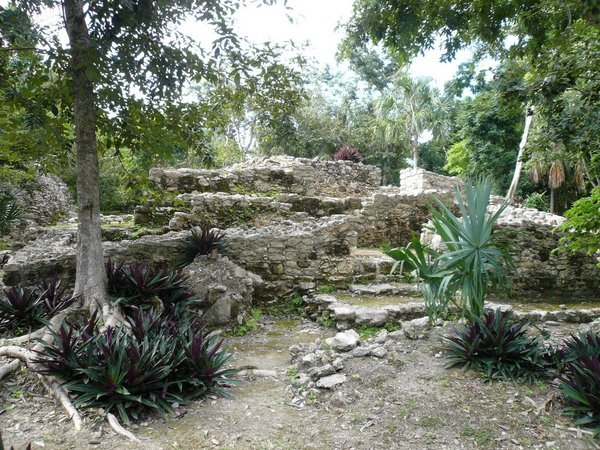 Ruins, Oxtankah