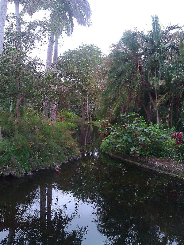 Groves Garden Pond
