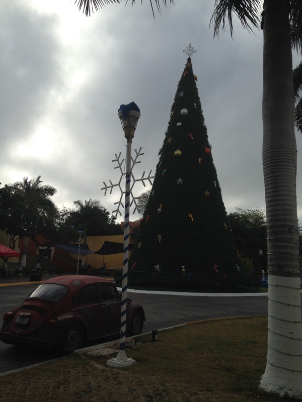 Merida Christmas Tree