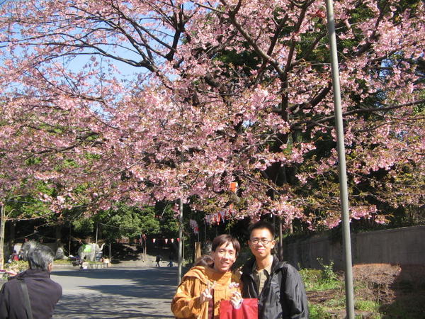 Ueno Park 3