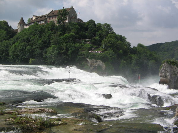 Rhine Falls: Everyone is here to see the largest waterfall in Europe