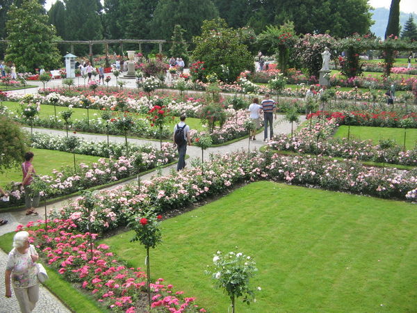 Constance: Flowers, flowers and more flowers in the gorgeous gardens of Mainau Island