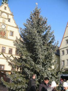 Christmas tree in the Marktplatz
