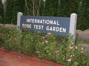 International Rose Test Garden 2