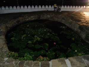 A lotus pond between the entrances of Cave 2 and Cave 3