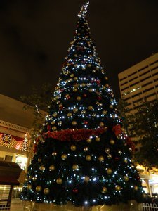 Xmas tree in front of Perth Station