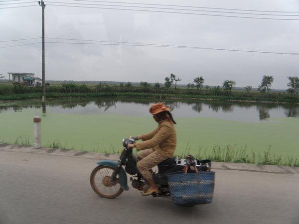 Travelling past an algae-covered pond