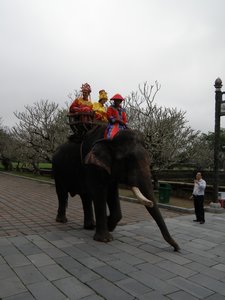 2 foreigners dressed in imperial costumes on an elephant ride. (It's simply hilarious...)