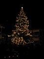 Christmas Tree in Old Town Plaza