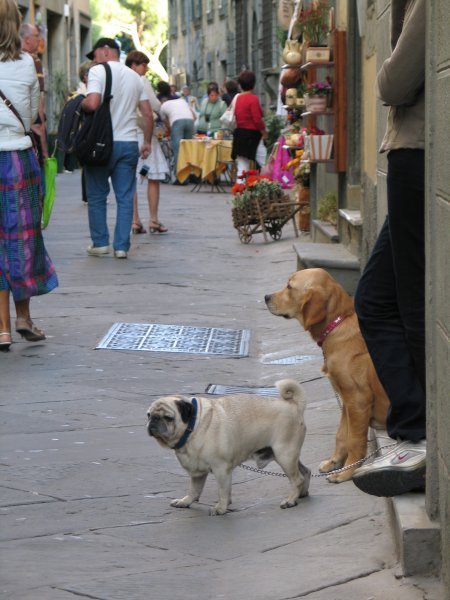 The Streets of Cortona