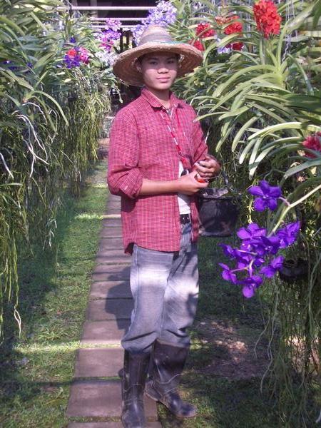Orchid farm staff at work