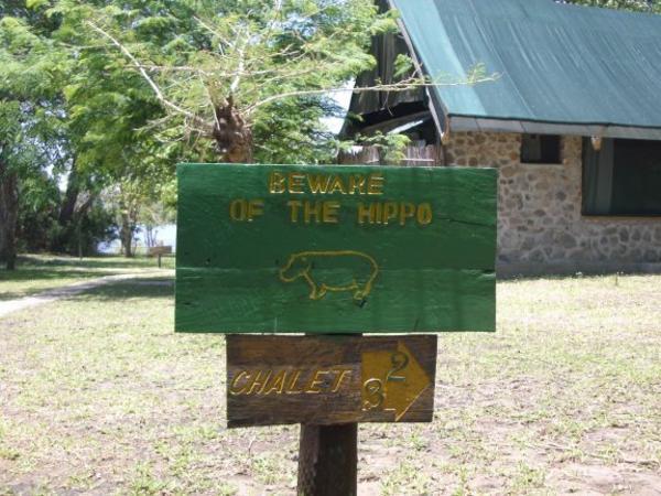 Hippo sign