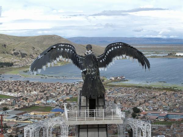 El Condor en Puno